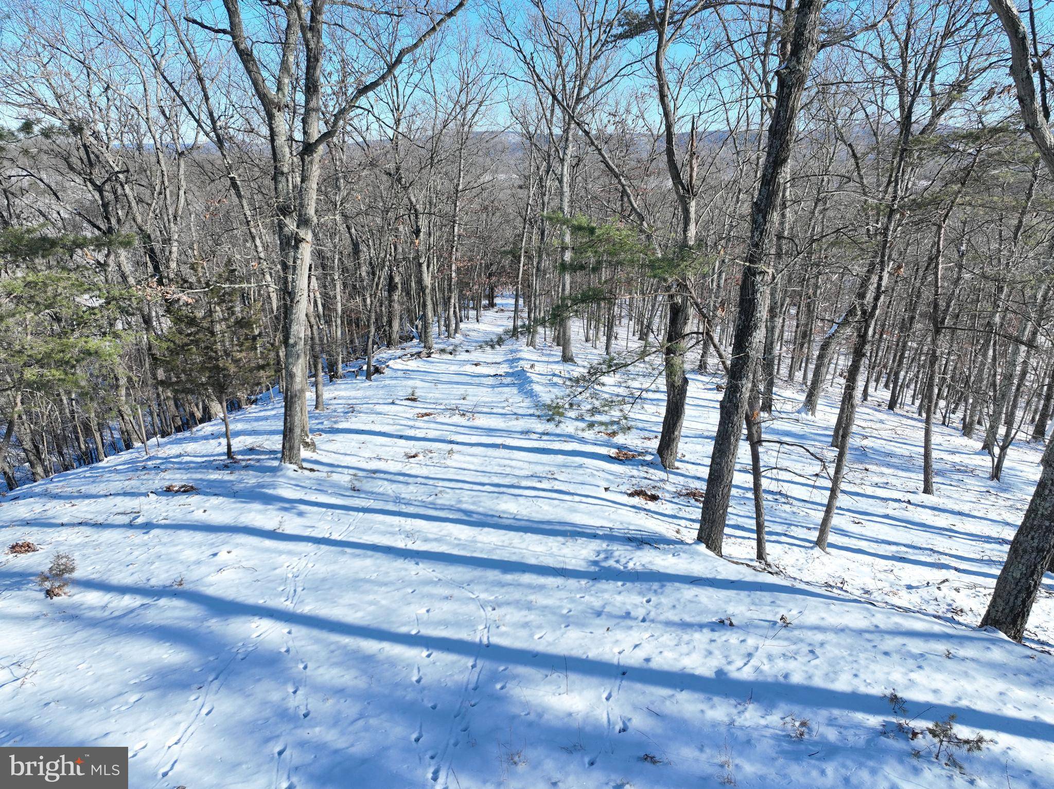 Keyser, WV 26726,11.26 ACRES SHREVES RD