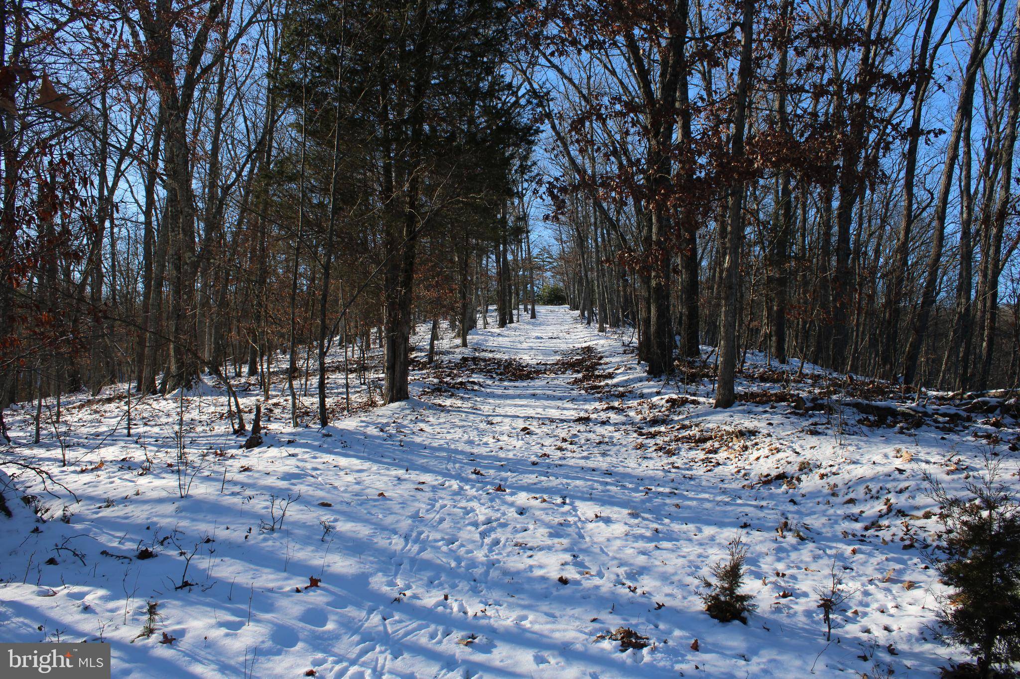 Keyser, WV 26726,11.26 ACRES SHREVES RD