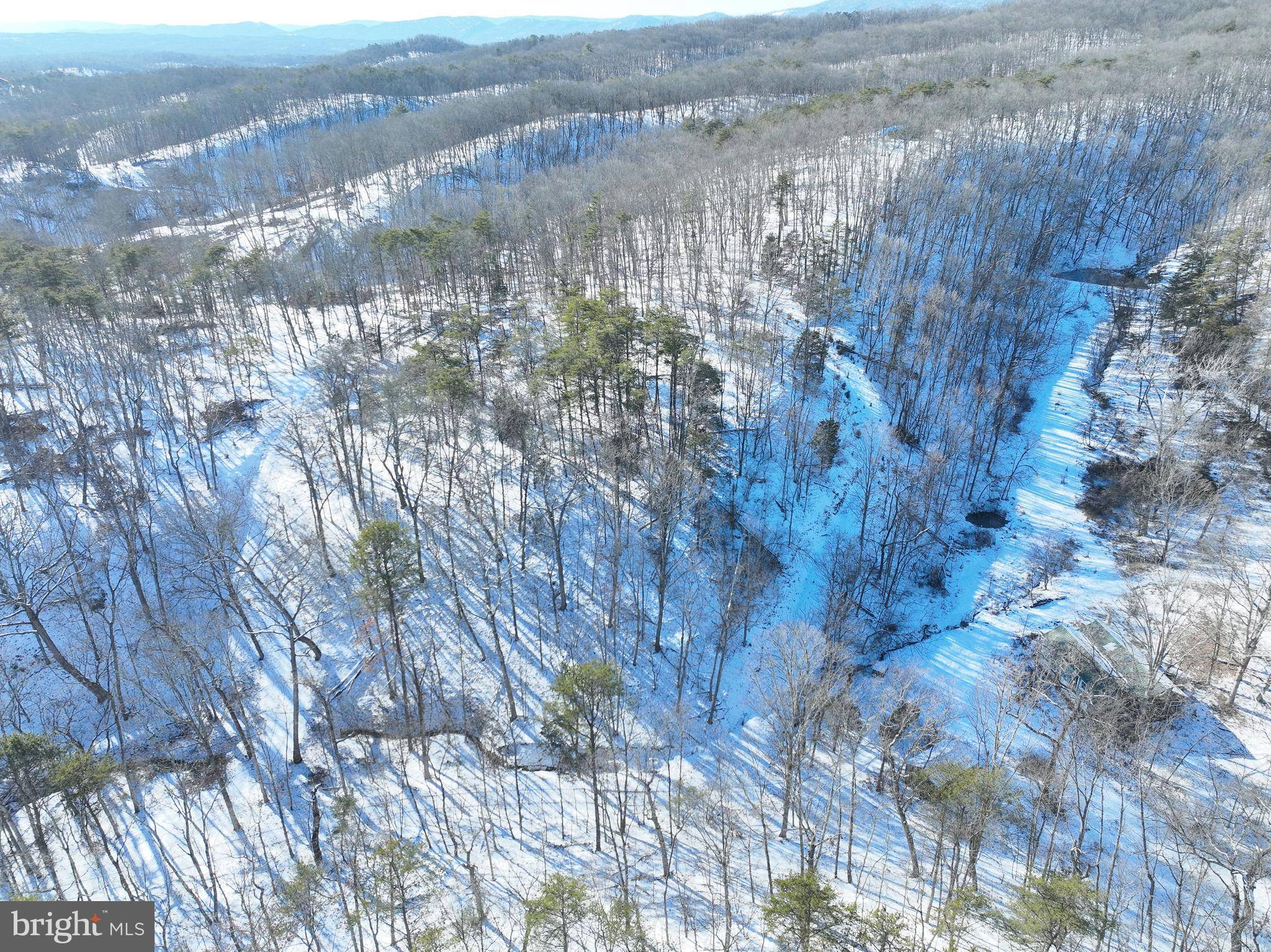 Keyser, WV 26726,11.26 ACRES SHREVES RD