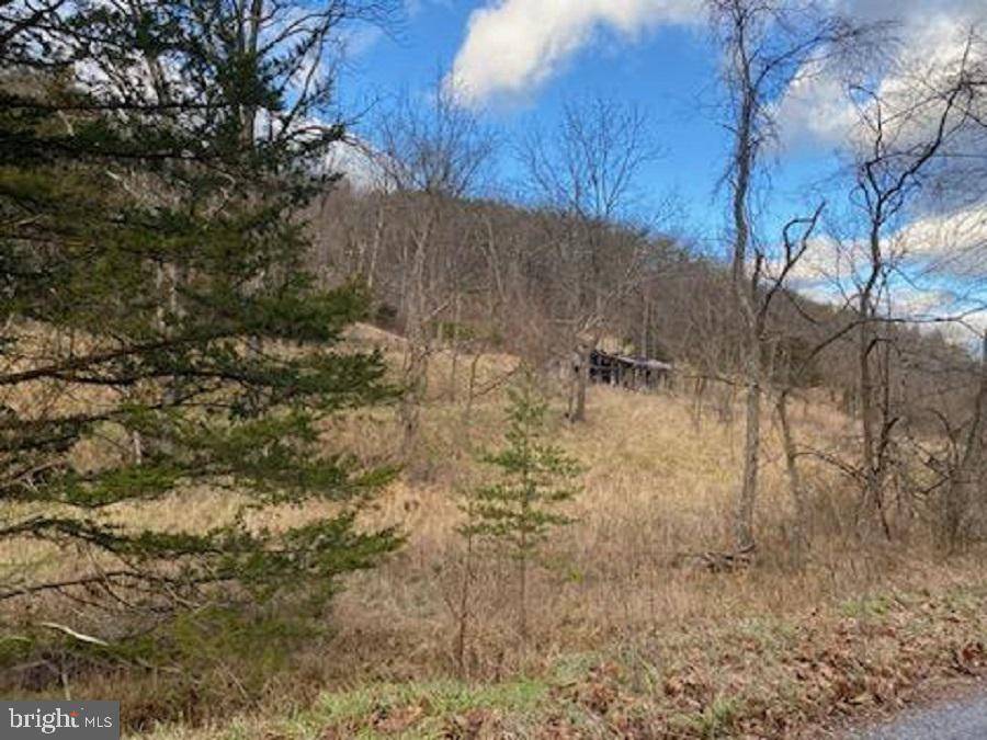 Upper Tract, WV 26866,354 TURKEY RIDGE RD