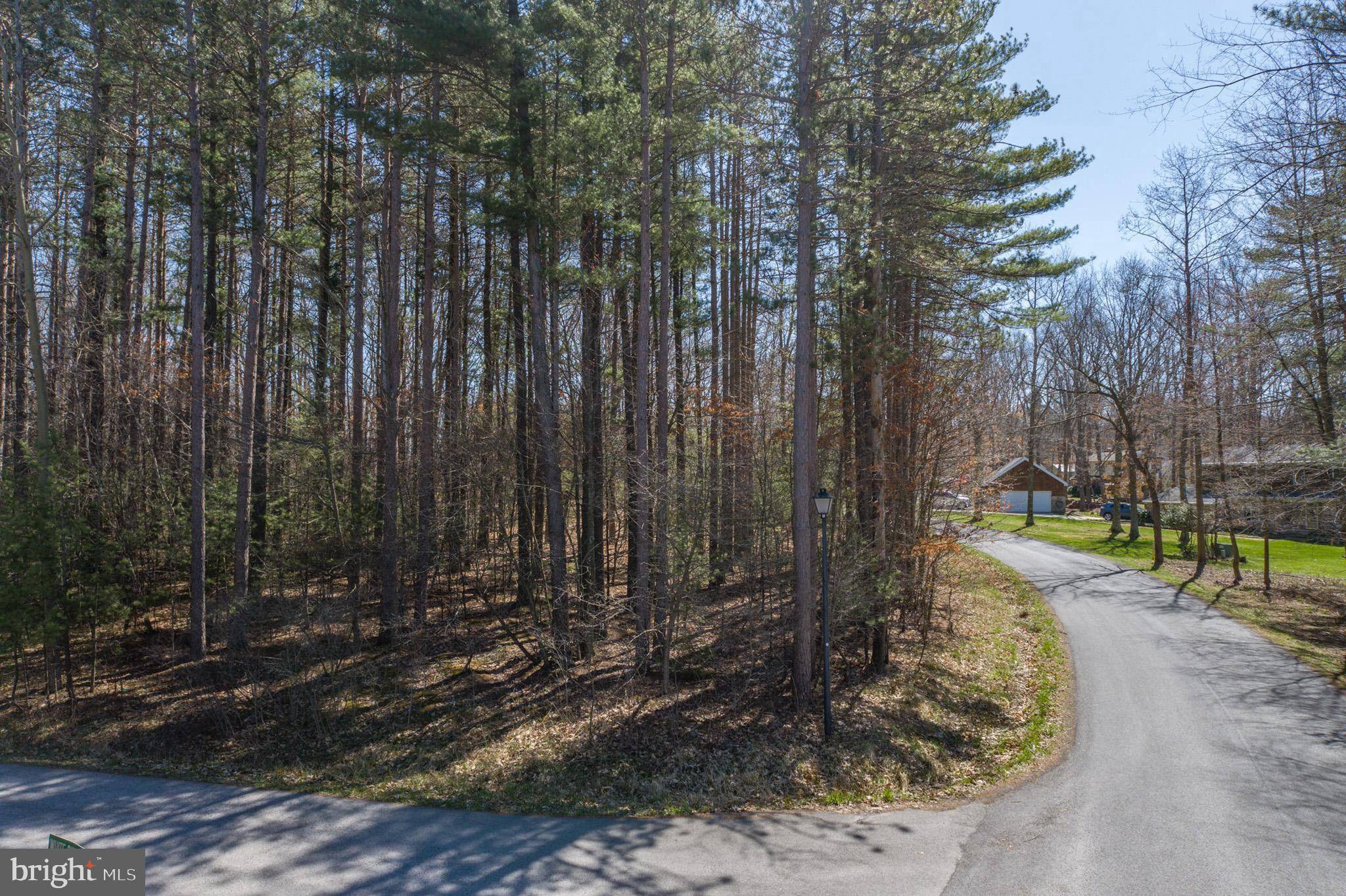 Oakland, MD 21550,LOT 49 WHITE PINE CIR