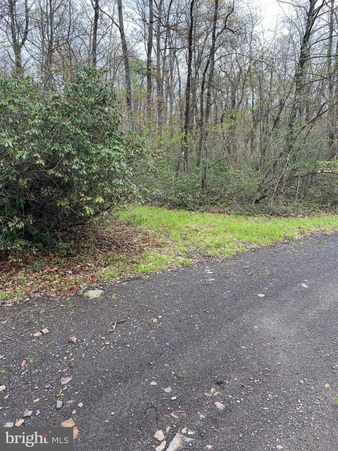 Oakland, MD 21550,LOT 34 BLACK OAK DR