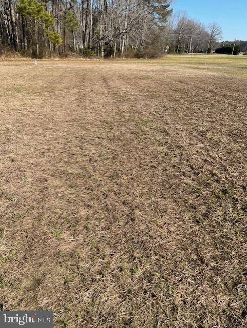 Milton, DE 19968,17725 BRIDLEWOOD RD