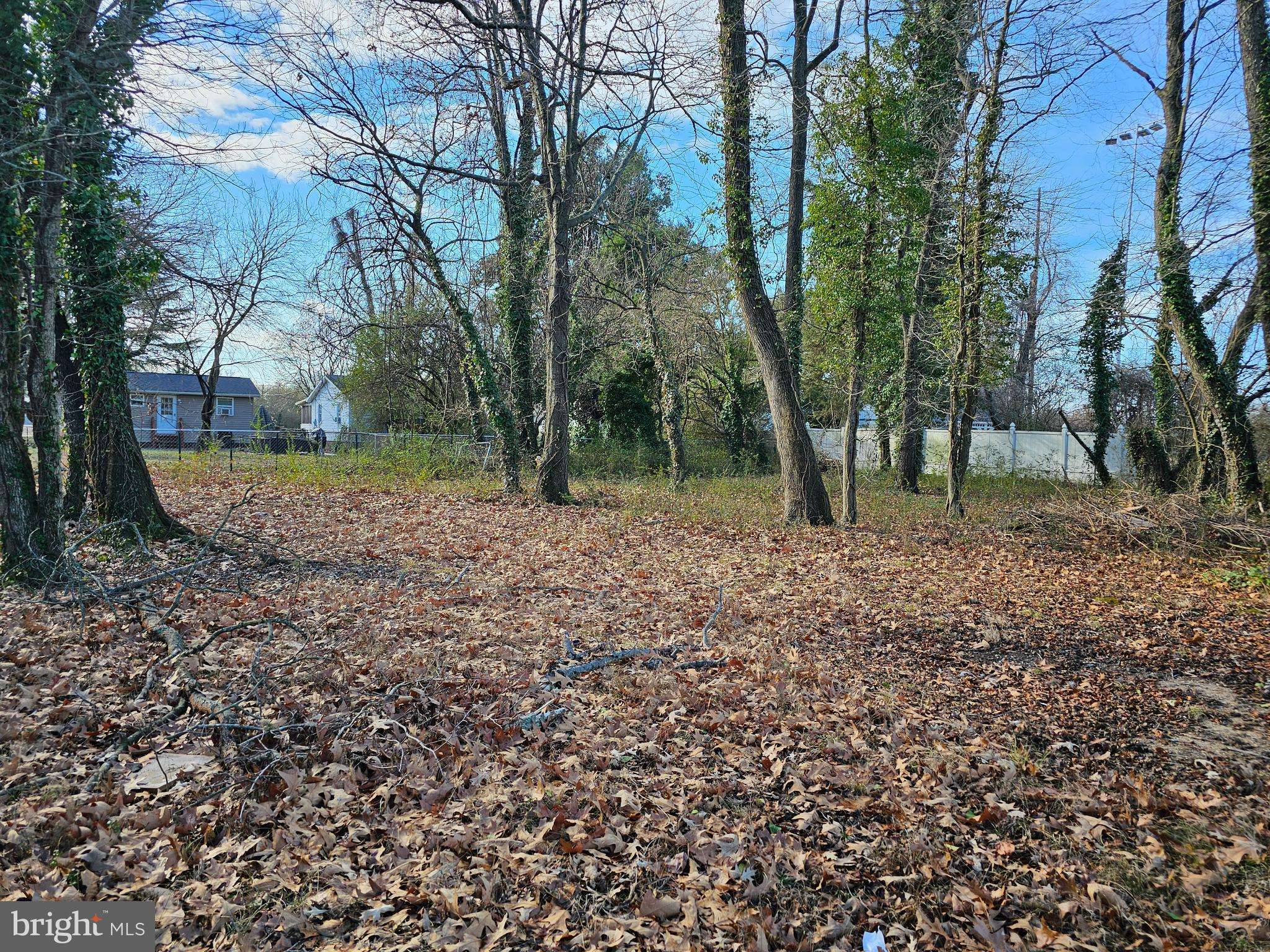 Colonial Beach, VA 22443,LOT 87 BILLINGSLEY AVE