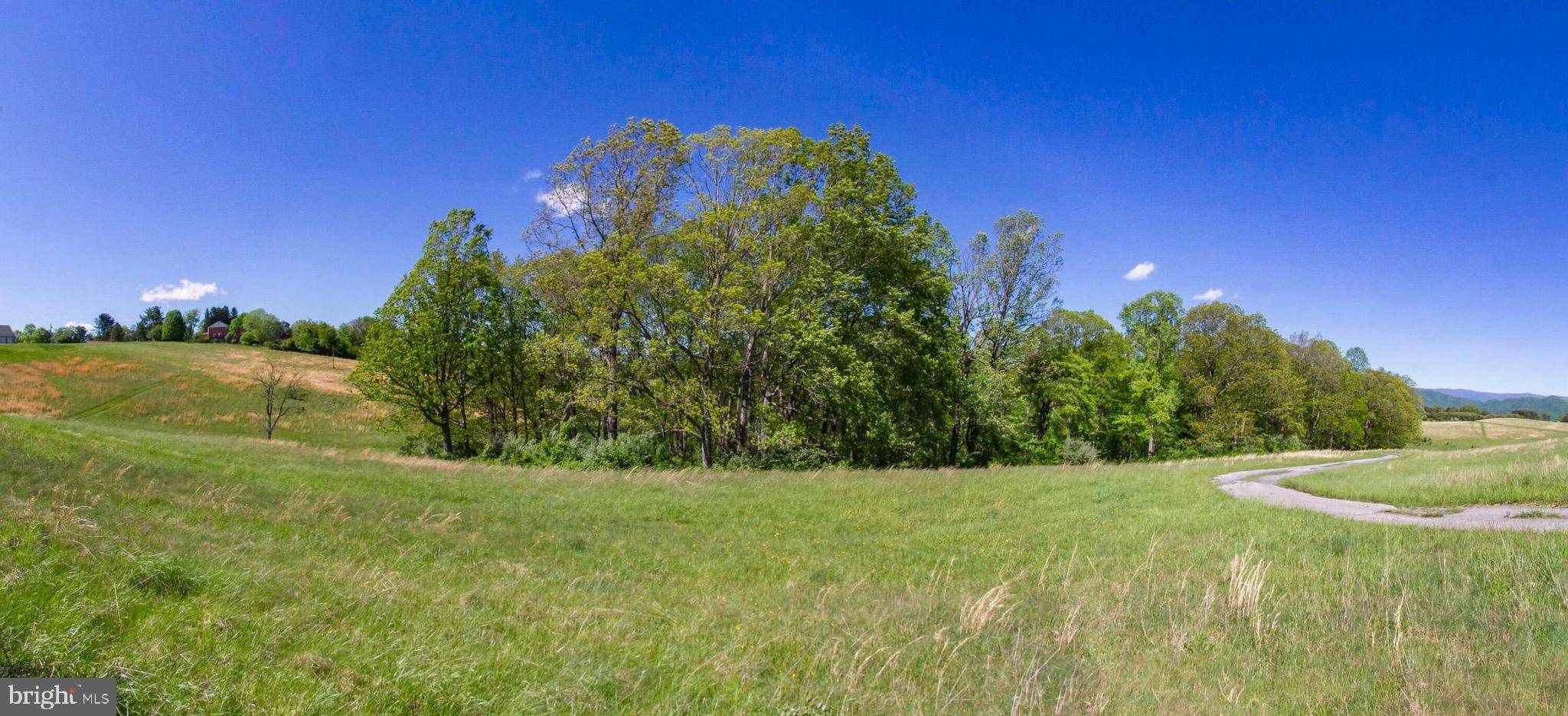 Blacksburg, VA 24060,0 GRAVES AVE