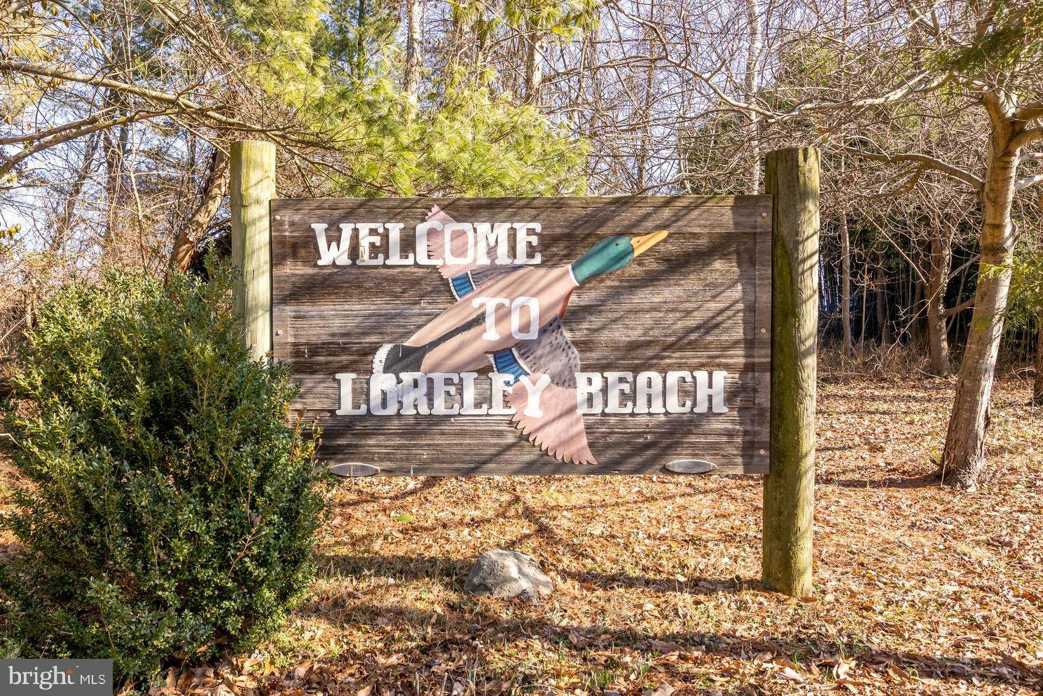 White Marsh, MD 21162,6005 LORELEY BEACH RD