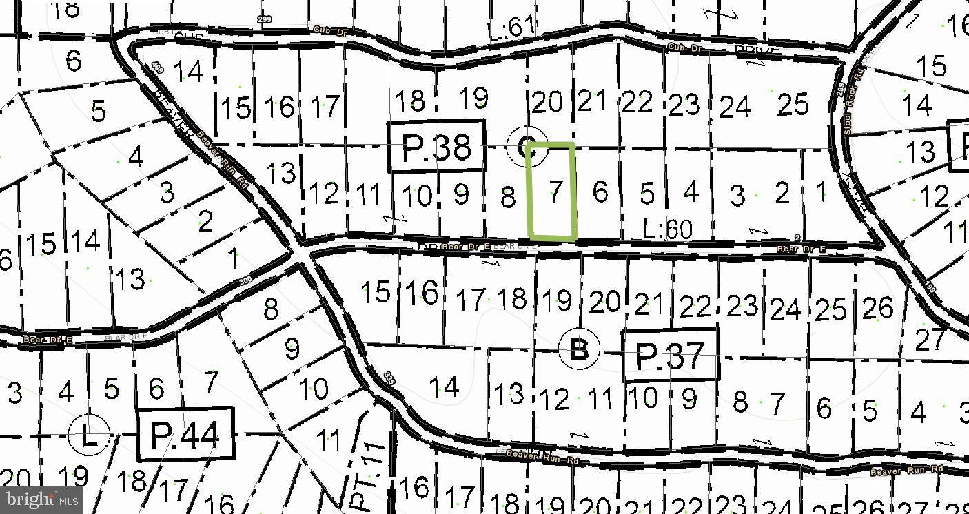 Oakland, MD 21550,LOT 7 BEAR DR