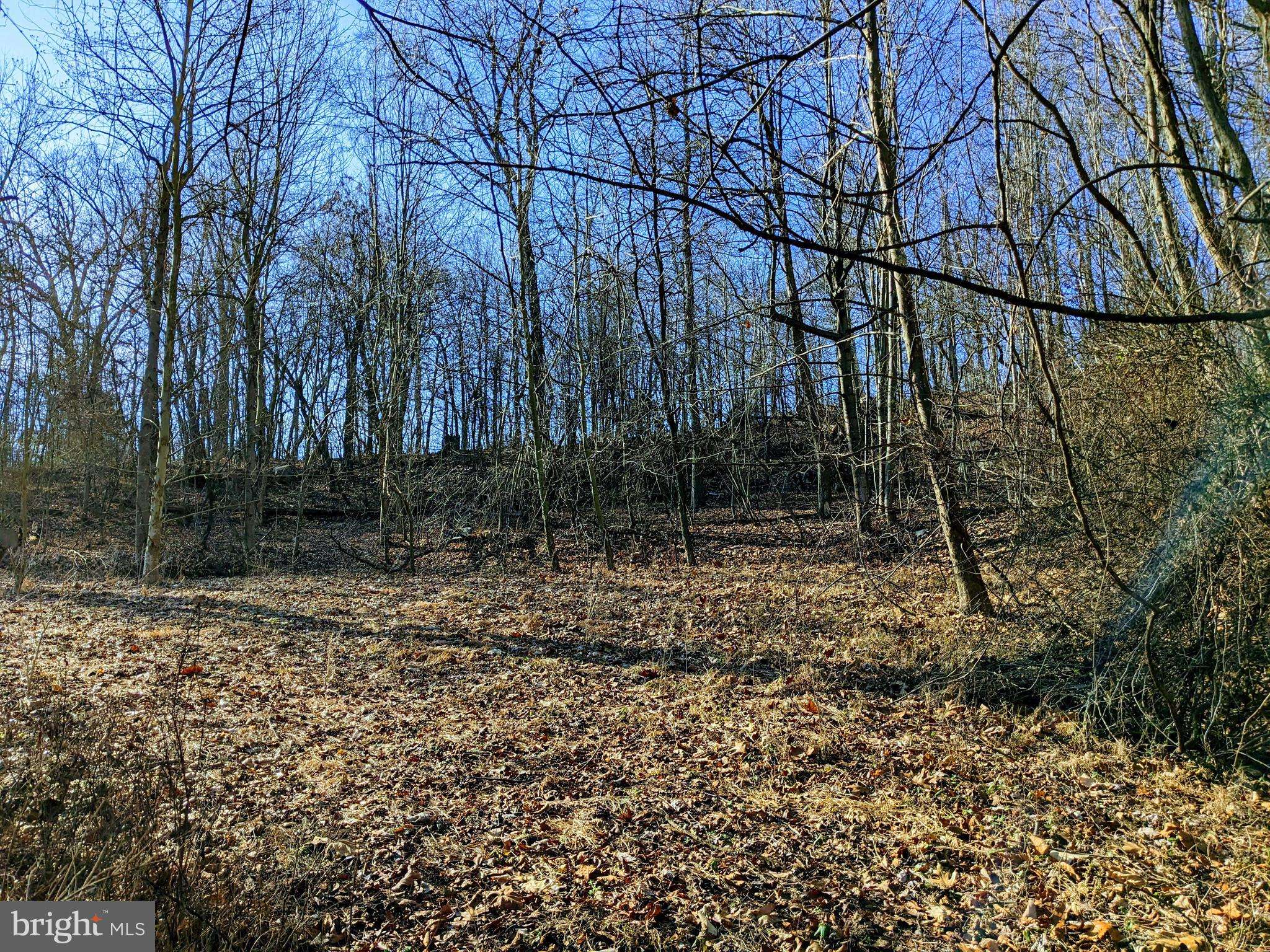 Keedysville, MD 21756,LOT 1 TREGO MOUNTAIN RD