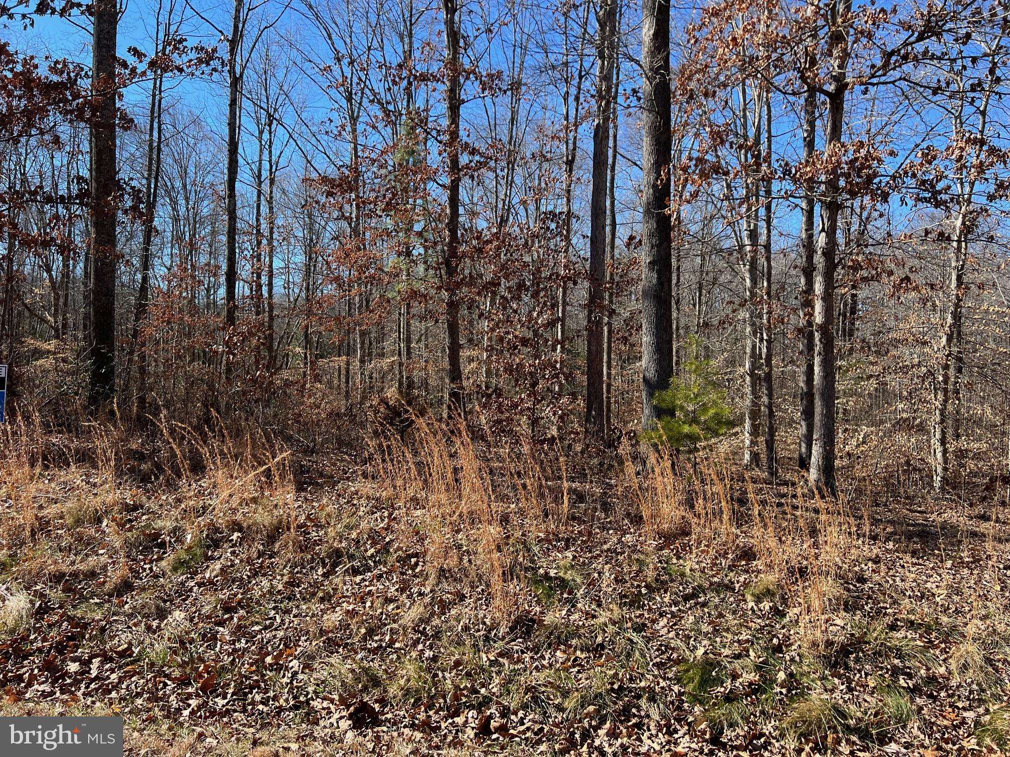 Bumpass, VA 23024,LOT 67 DOVE CT