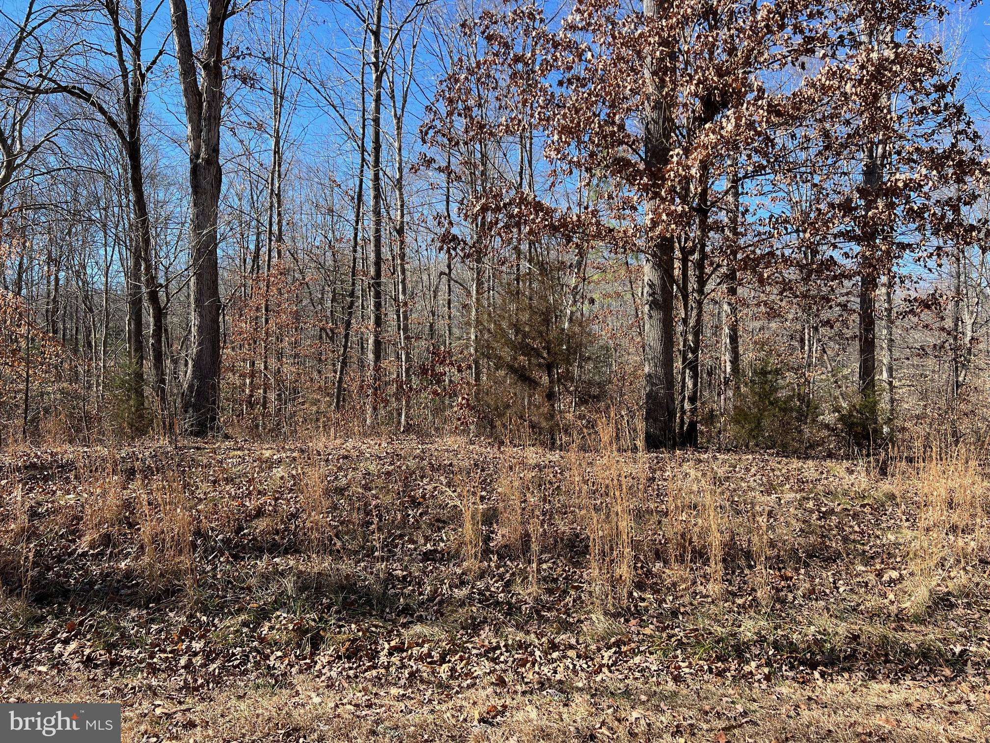 Bumpass, VA 23024,LOT 67 DOVE CT