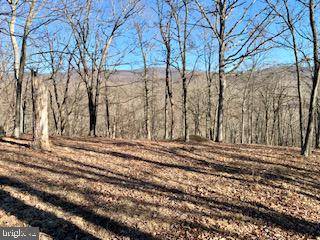 Paw Paw, WV 25434,LOT 100 WALNUT GROVE CT