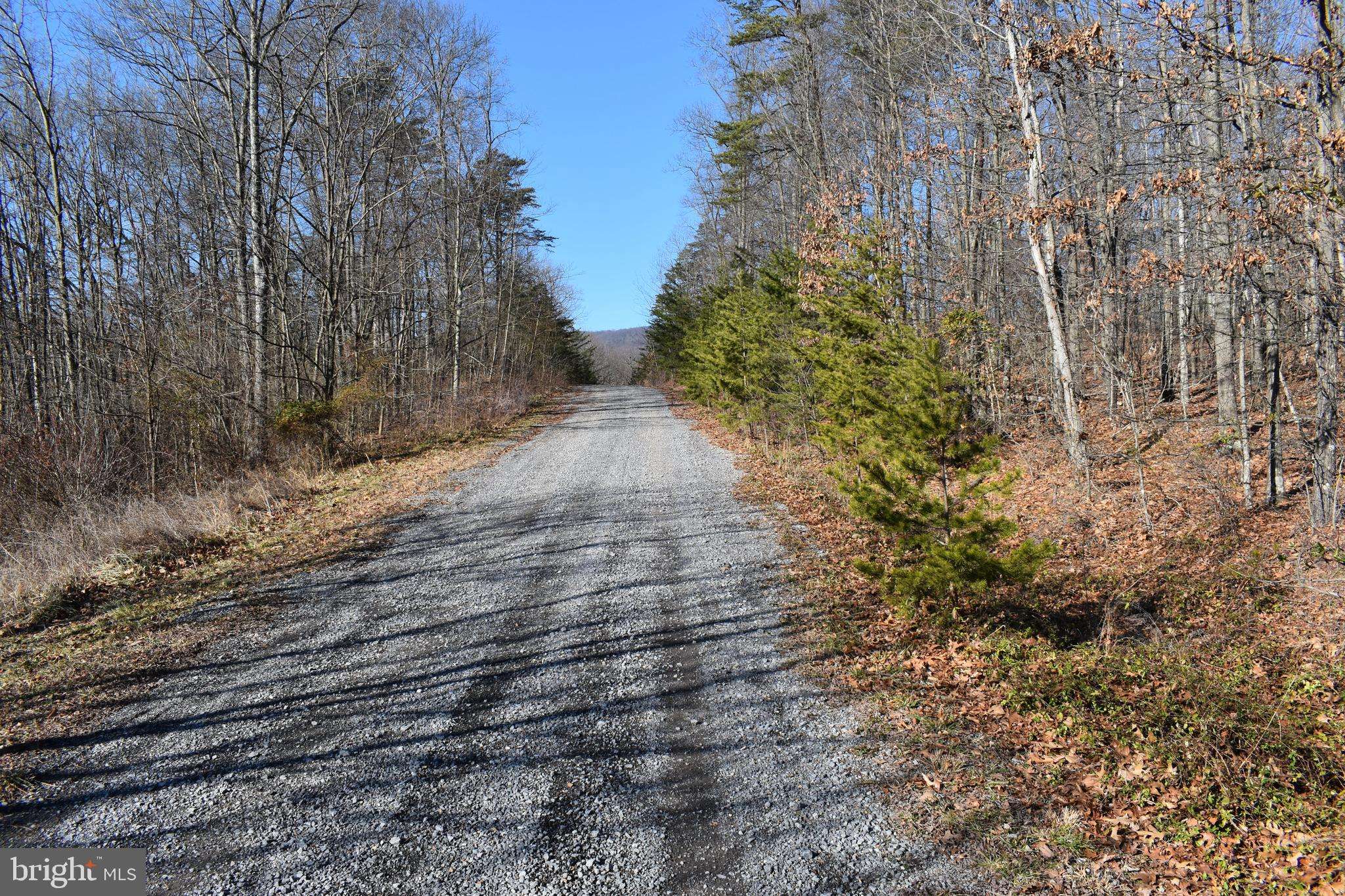 Hedgesville, WV 25427,LOT 21 FABLE RD