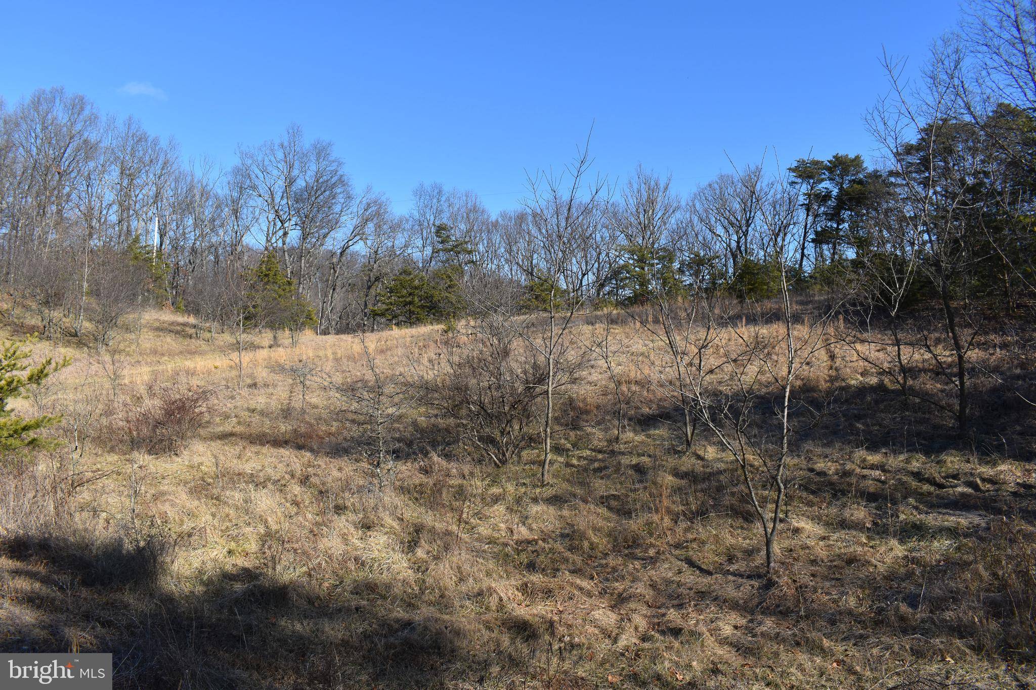 Hedgesville, WV 25427,LOT 21 FABLE RD