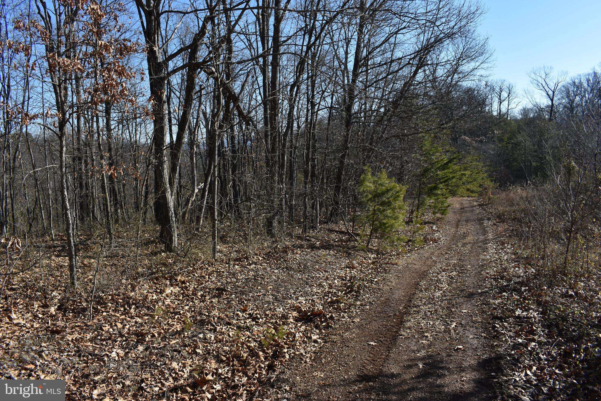 Hedgesville, WV 25427,LOT 23 FABLE RD