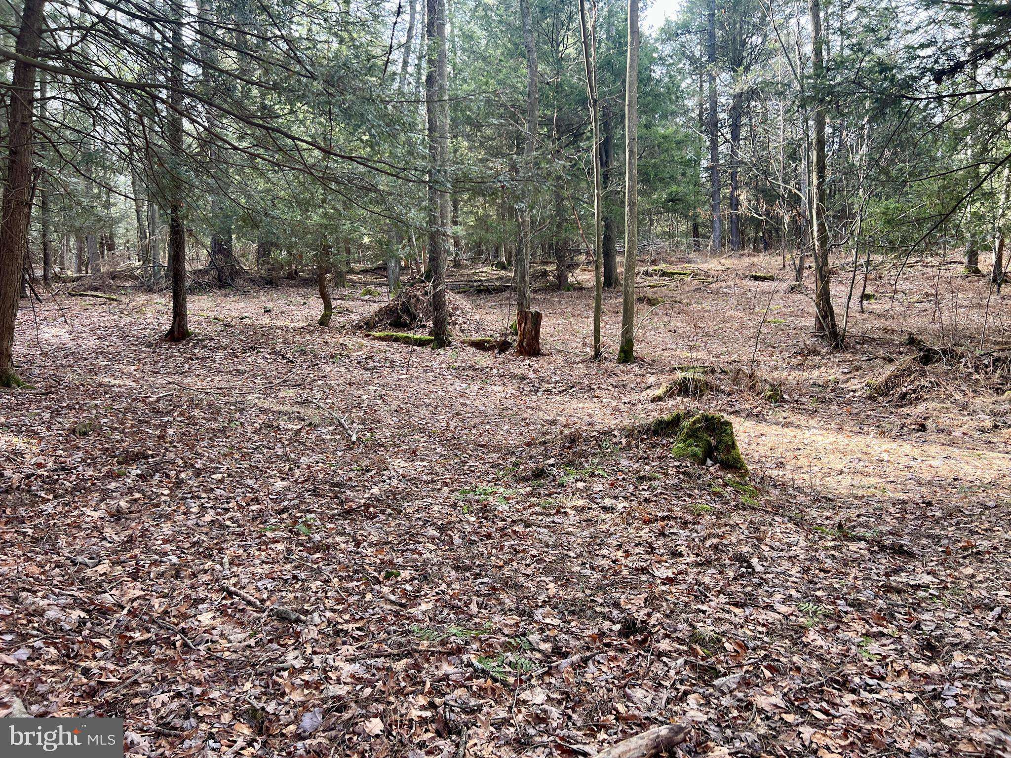 Woodland, PA 16881,LOT 2 HOUSER ROAD