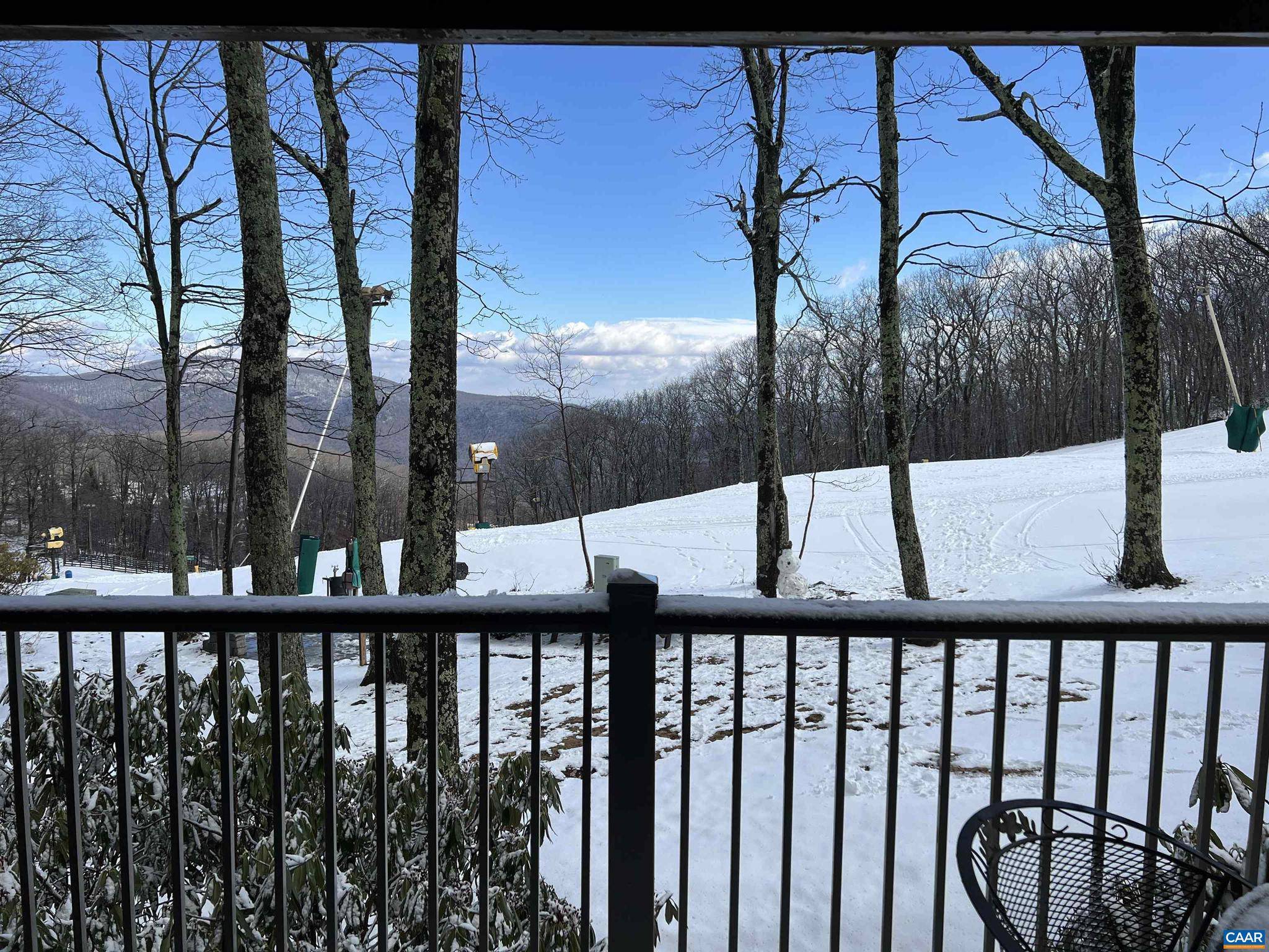 Wintergreen Resort, VA 22967,120 EAGLES CT CONDOS