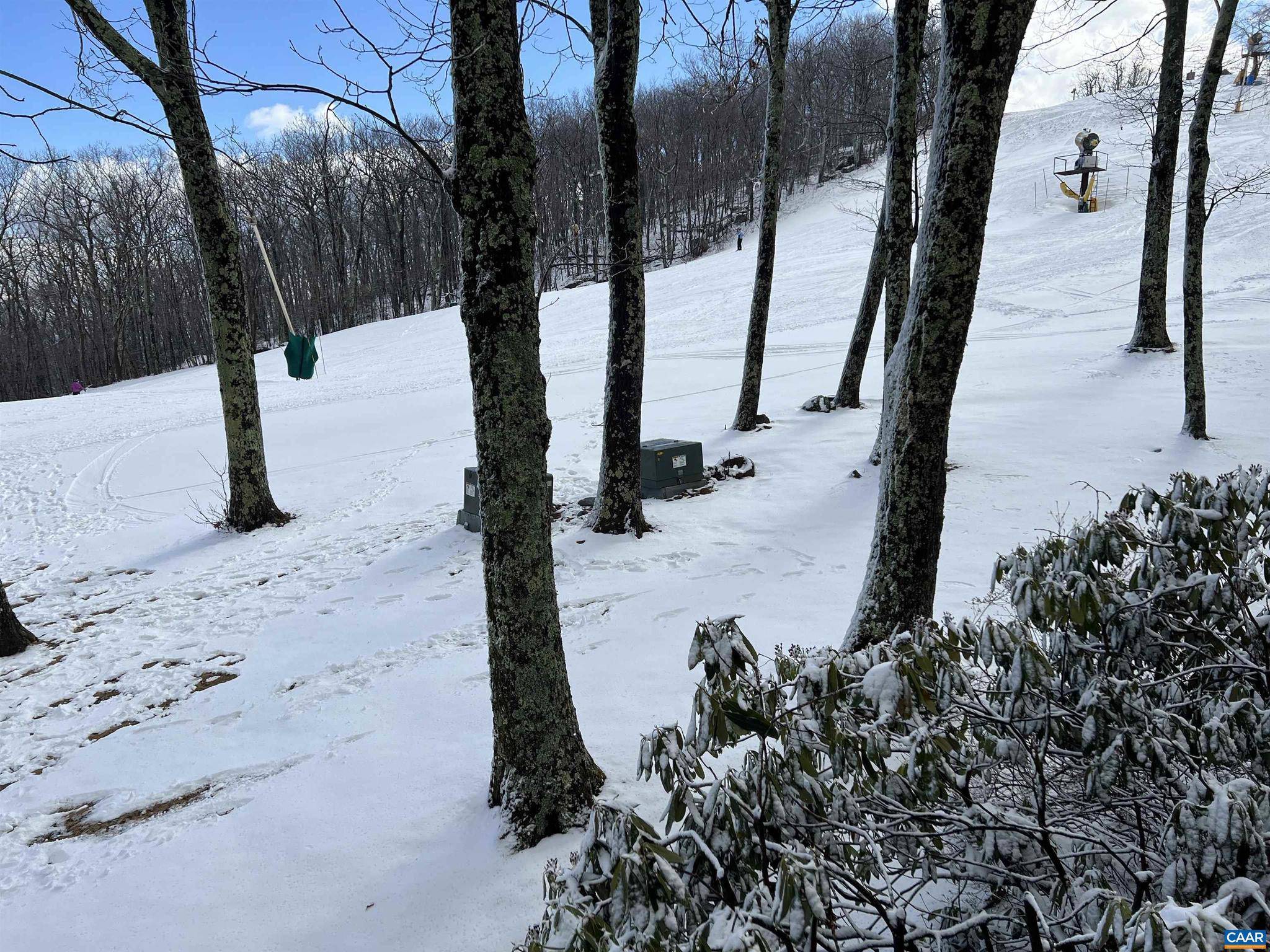 Wintergreen Resort, VA 22967,120 EAGLES CT CONDOS