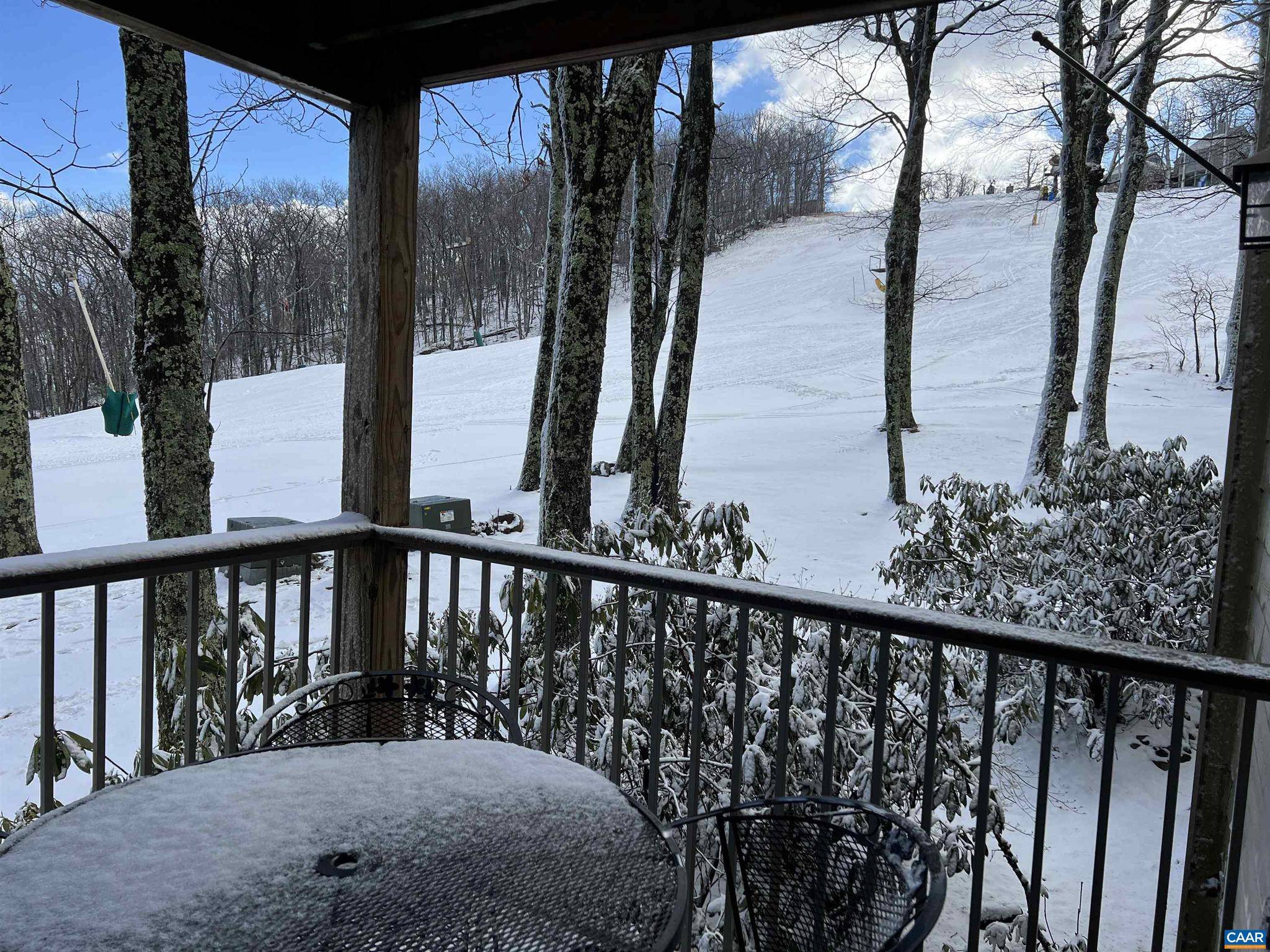 Wintergreen Resort, VA 22967,120 EAGLES CT CONDOS