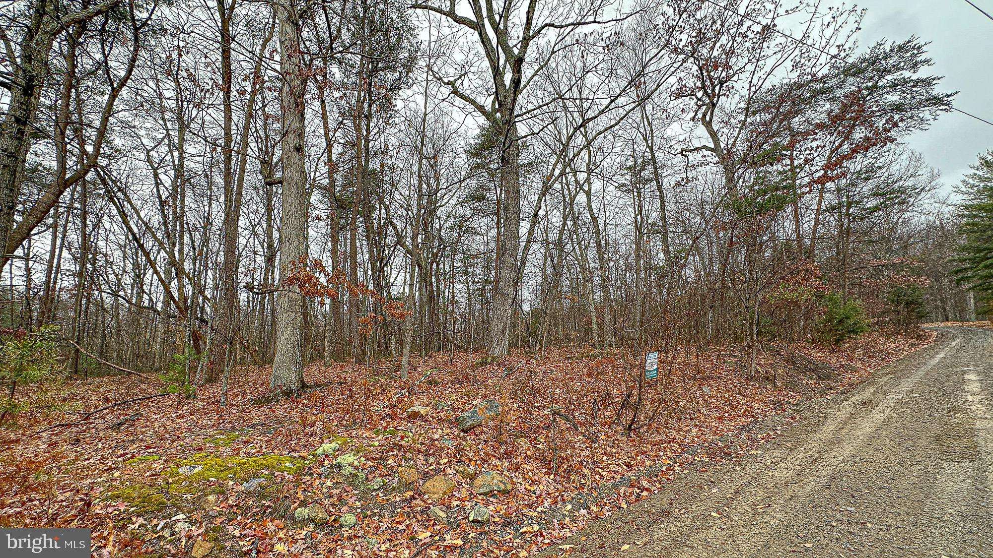 Luray, VA 22835,CROSS CREEK ROAD LOT G60