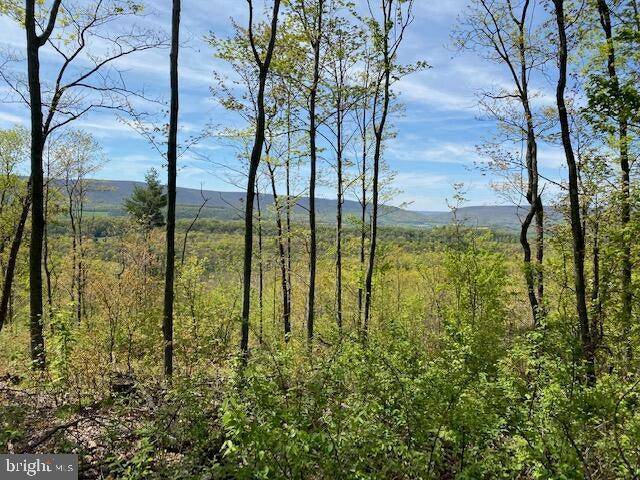 Hopewell, PA 16650,LOT 6 POLECAT HOLLOW ROAD