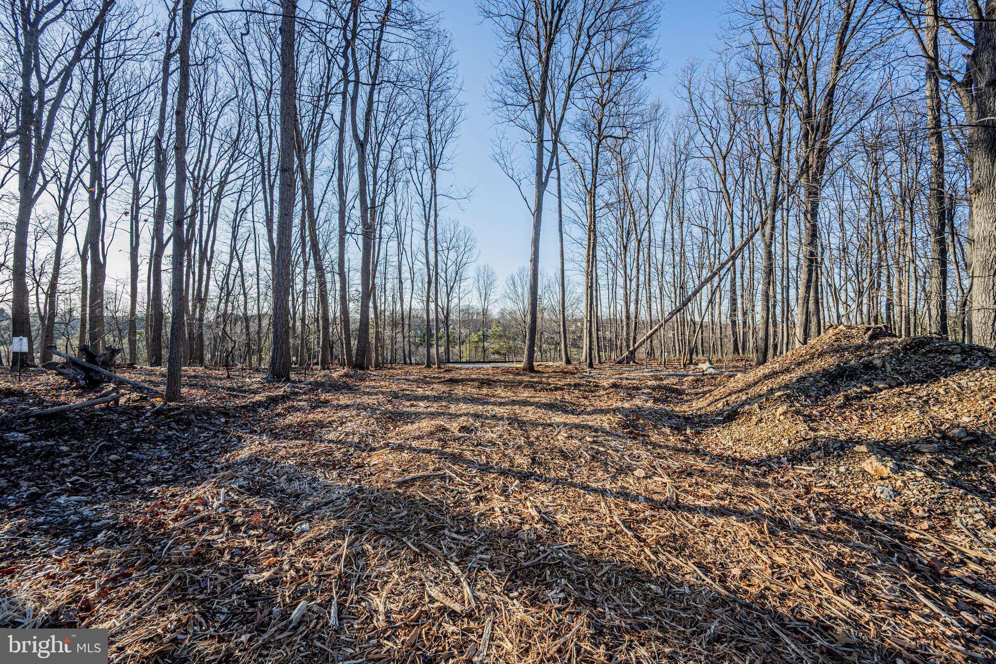 Mount Airy, MD 21771,5417 THORNWOOD TERRACE #LOT 1