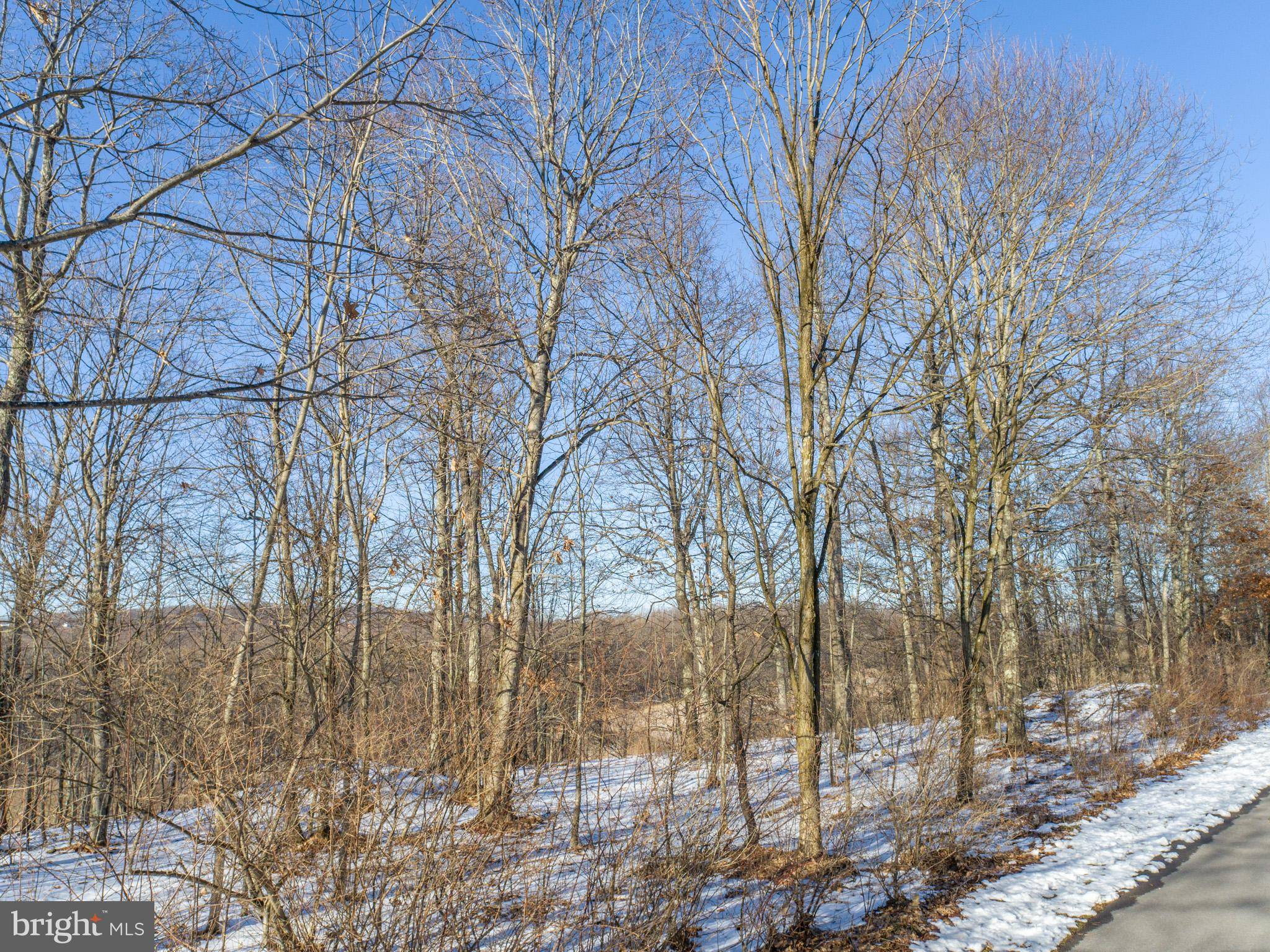 Oakland, MD 21550,LOT 2 EDENS RIDGE RD