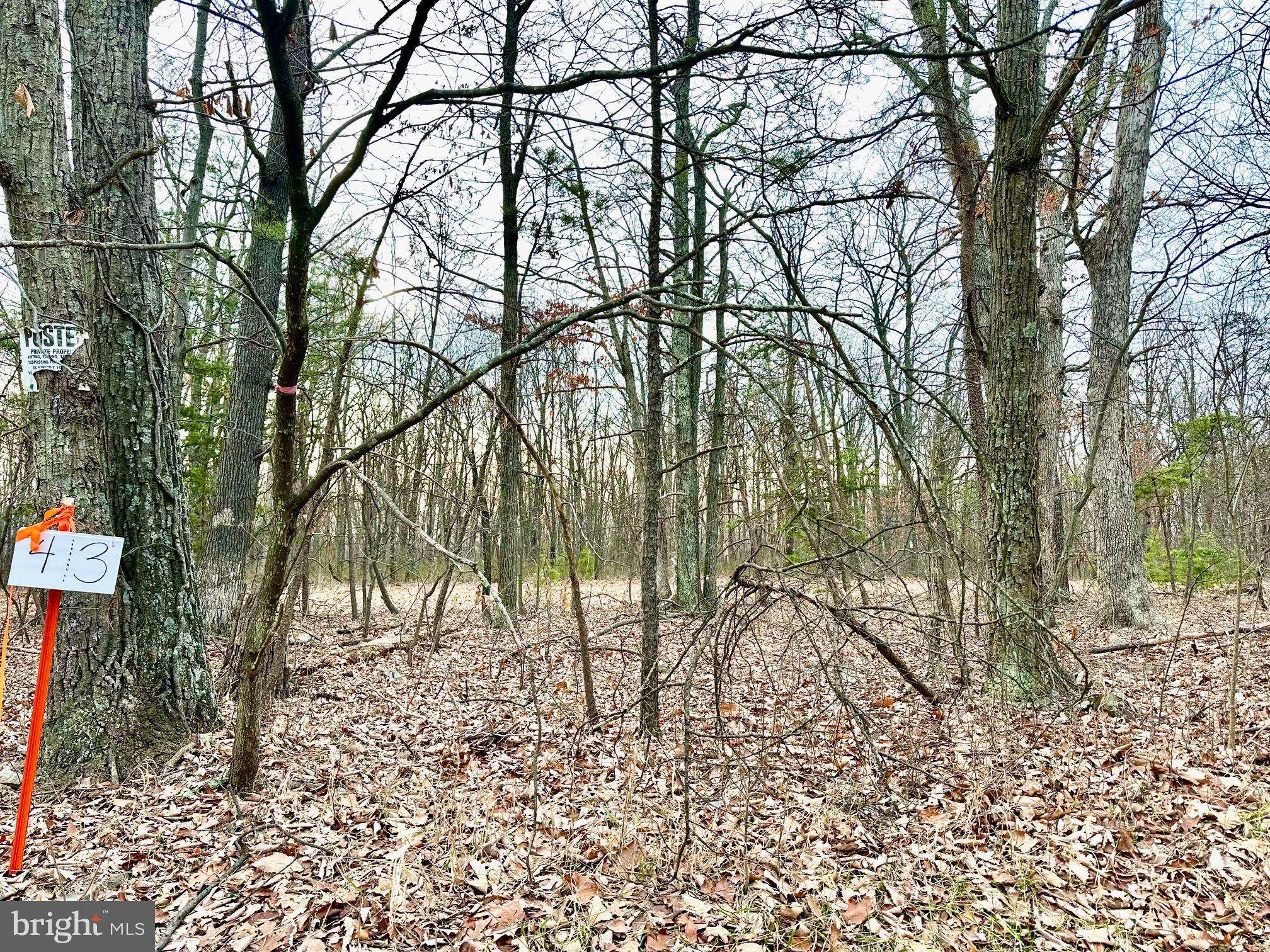 Cross Junction, VA 22625,LOT 3 N TIMBER RIDGE ROAD