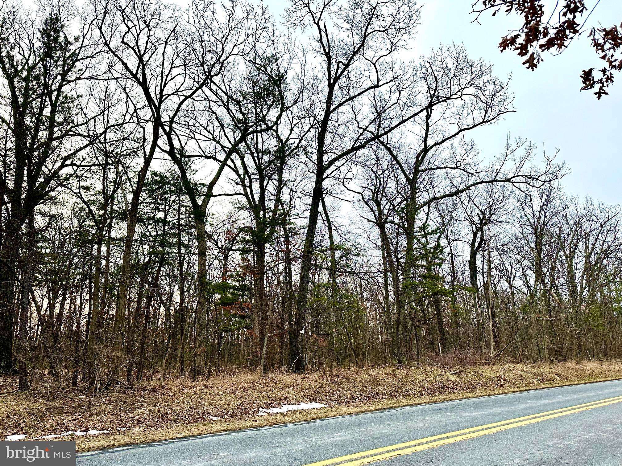 Cross Junction, VA 22625,LOT 3 N TIMBER RIDGE ROAD