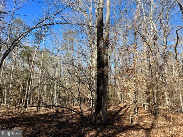 Indian Head, MD 20640,SMALLWOOD CHURCH RD