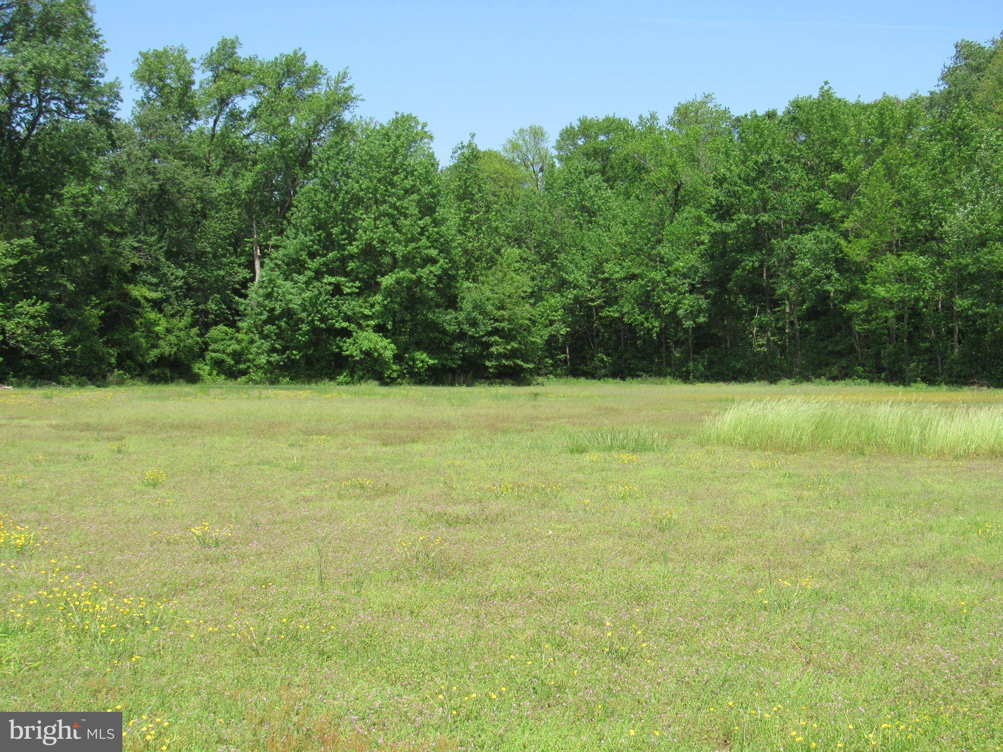 Seaford, DE 19973,GUM BRANCH ROAD