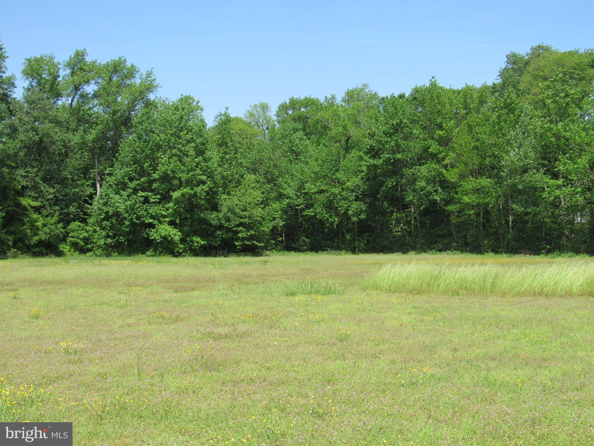 Seaford, DE 19973,GUM BRANCH ROAD