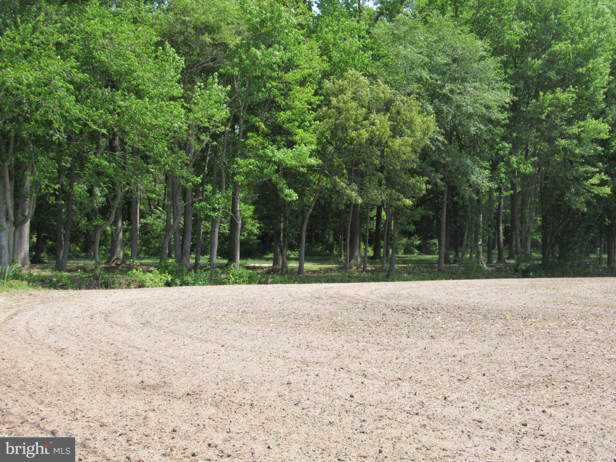 Seaford, DE 19973,GUM BRANCH ROAD