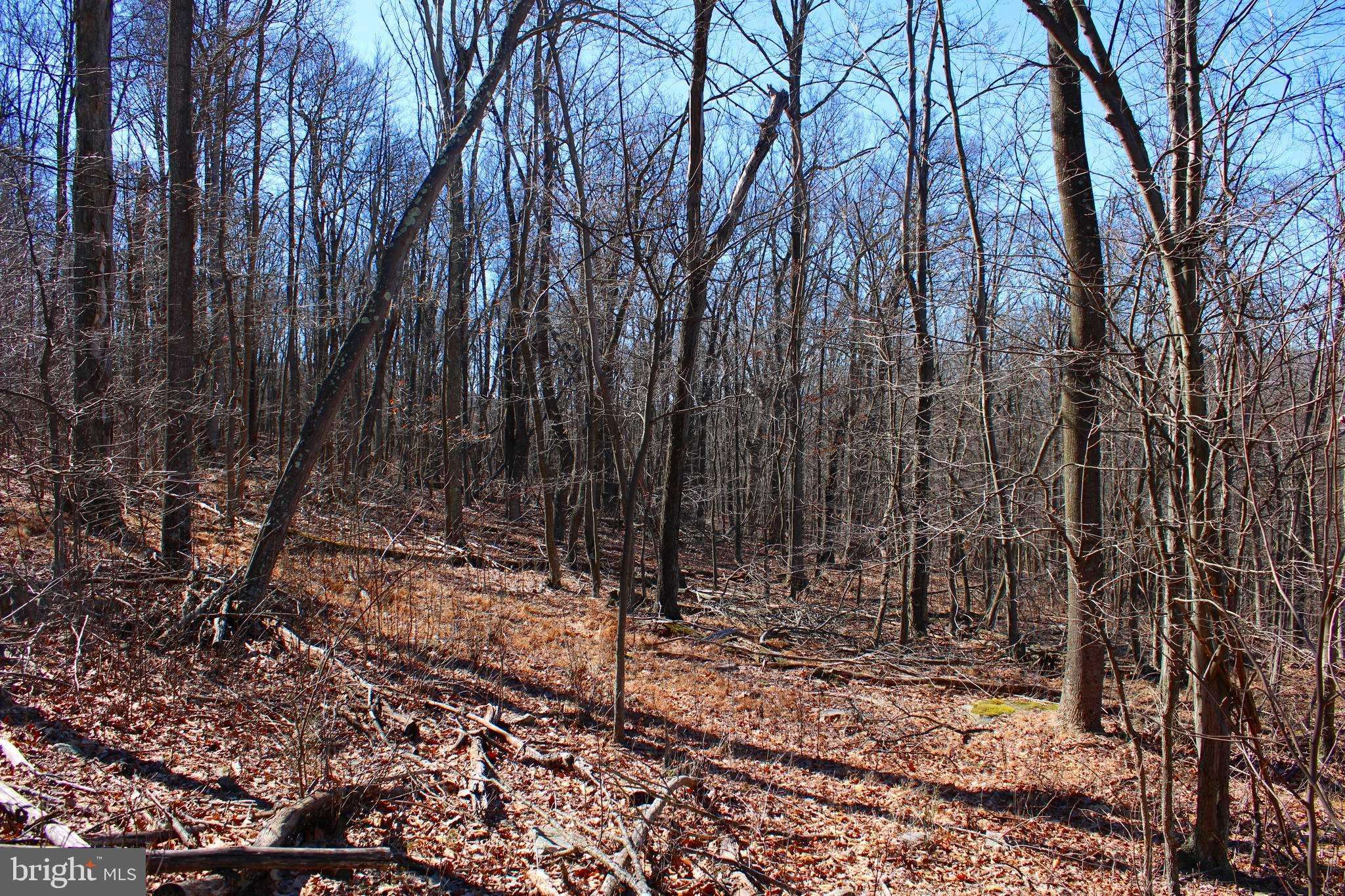 Paw Paw, WV 25434,5.00 ACRES CHANCE LN