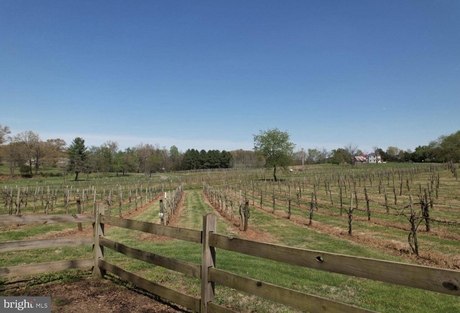 Barboursville, VA 22923,4500 WINERY LN