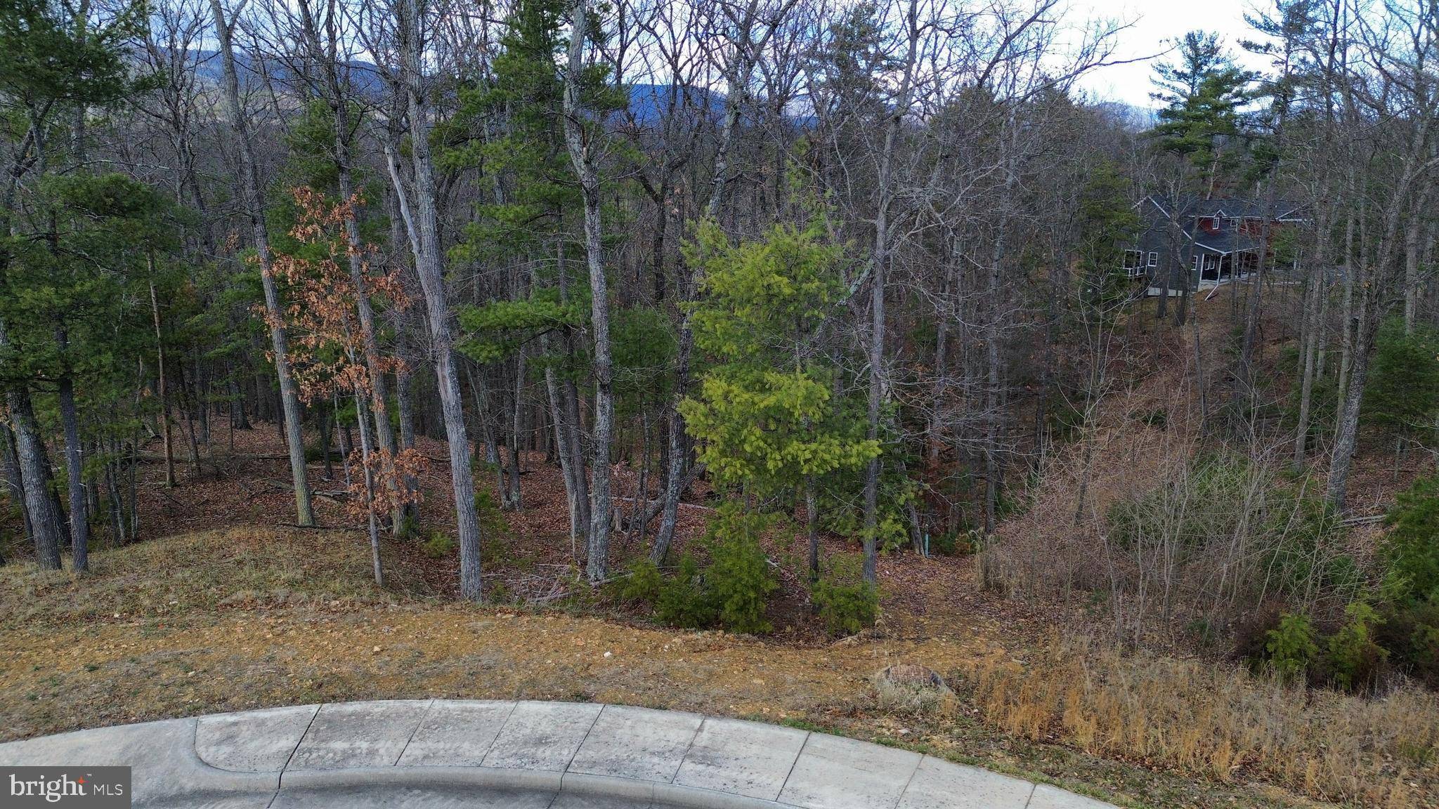 Basye, VA 22810,LOT 9 CREEK VALLEY DR