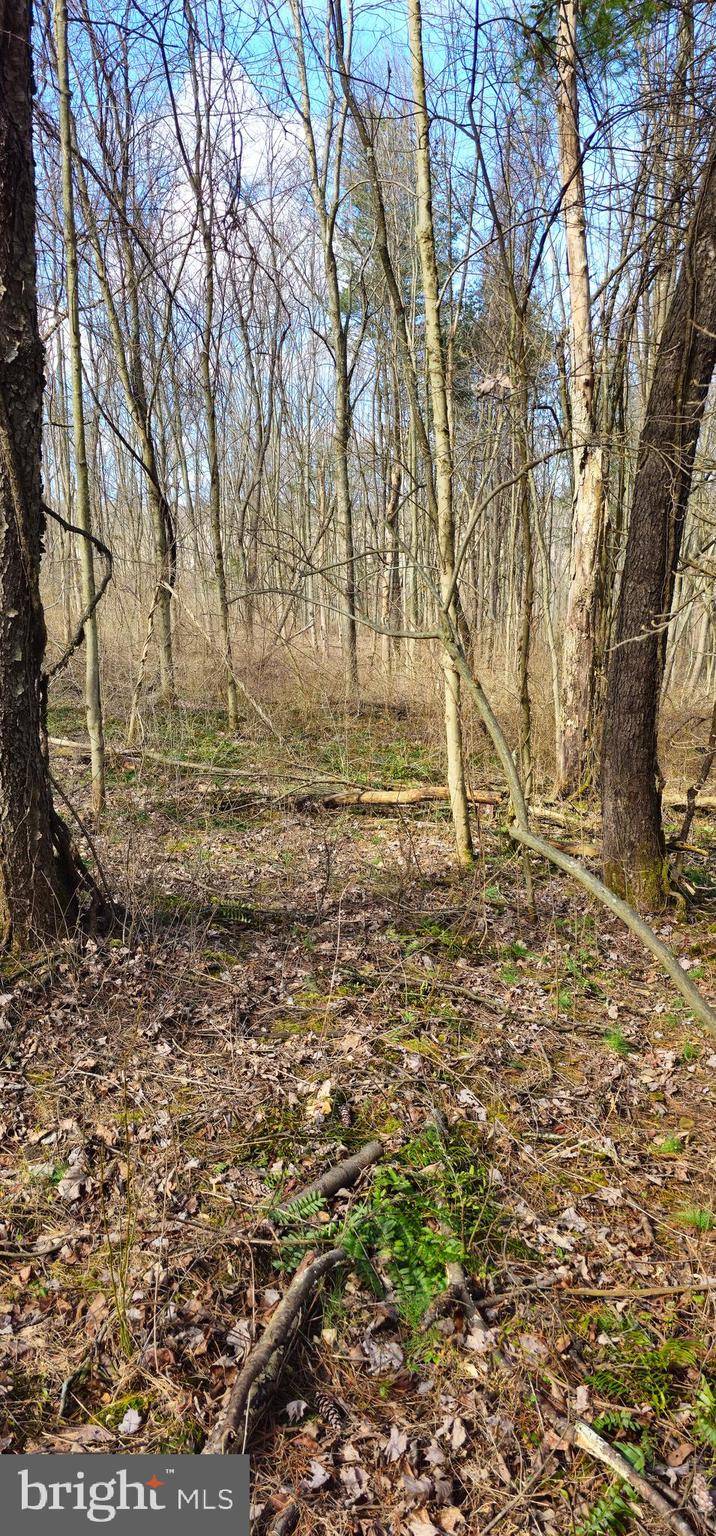 New Bloomfield, PA 17068,00 SOULE RD LOT #2