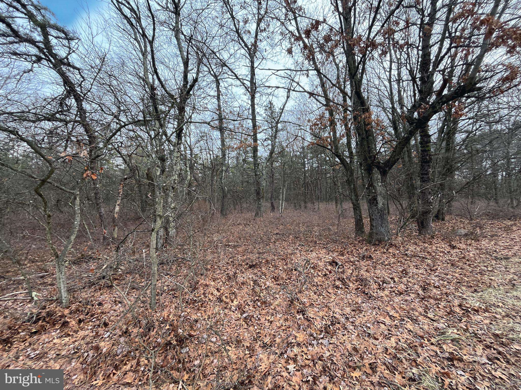 Jim Thorpe, PA 18229,LOT 343 WILD CREEK DR