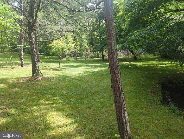 Baker, WV 26801,LOT 2 UPPER SKAGGS RUN RD