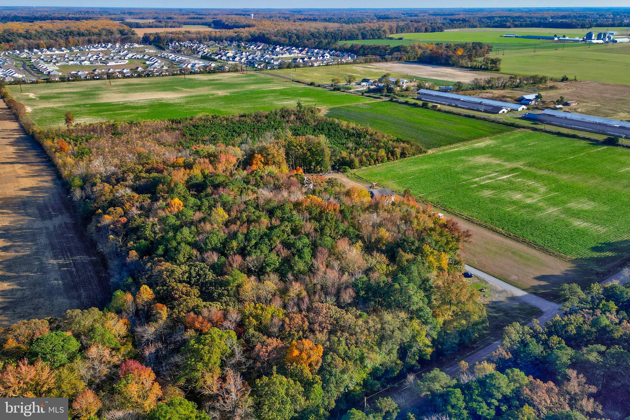 Milton, DE 19968,LOT 3 DIAMOND FARM RD