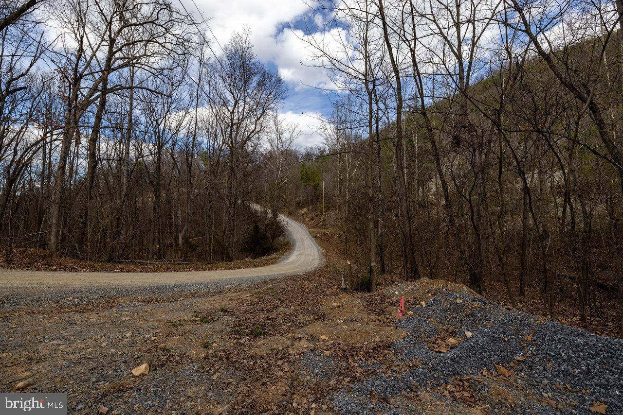 Shenandoah, VA 22849,LOT 41 WILDWOOD LN