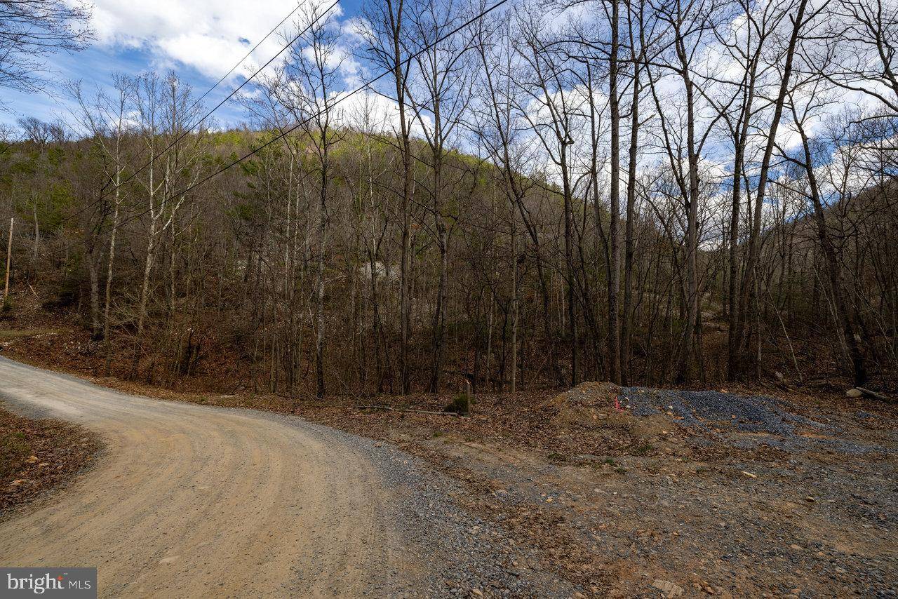 Shenandoah, VA 22849,LOT 41 WILDWOOD LN