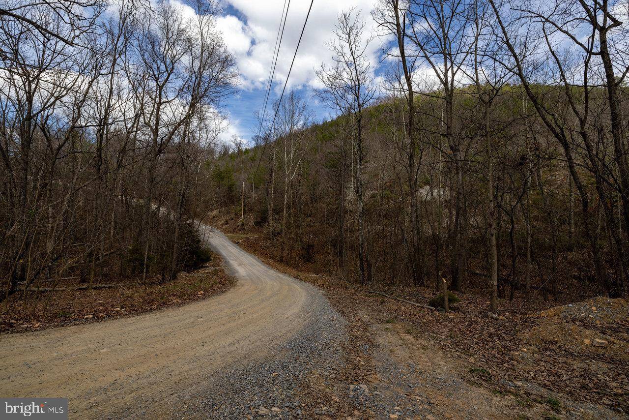 Shenandoah, VA 22849,LOT 41 WILDWOOD LN