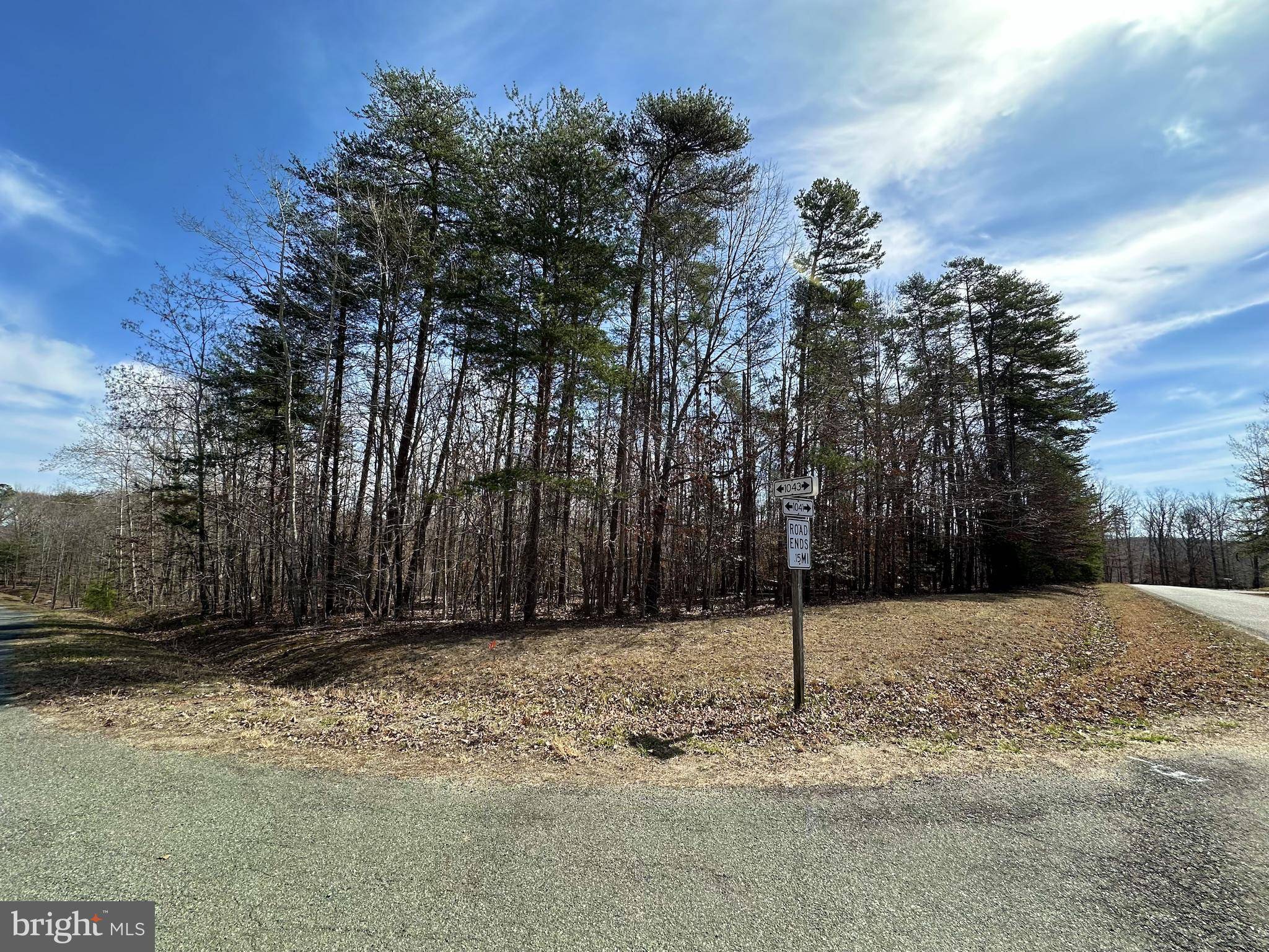 Mineral, VA 23117,LOT 66 EDGEWOOD DR