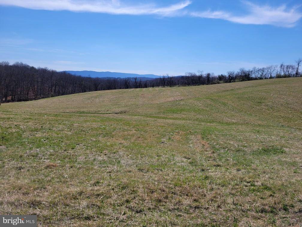 Cross Junction, VA 22625,LOT 4 RED OAK RD