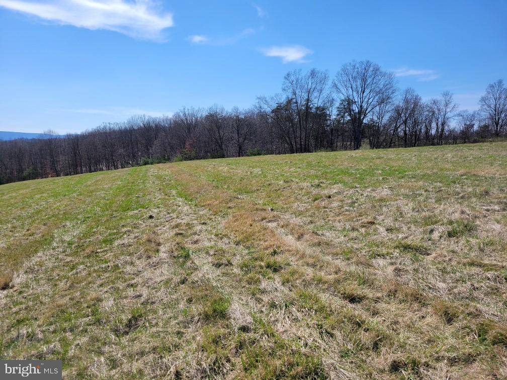 Cross Junction, VA 22625,LOT 2 RED OAK RD