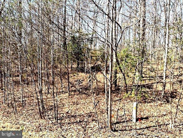 Bumpass, VA 23024,LOT 6 ANNA HIGHVIEW DR.