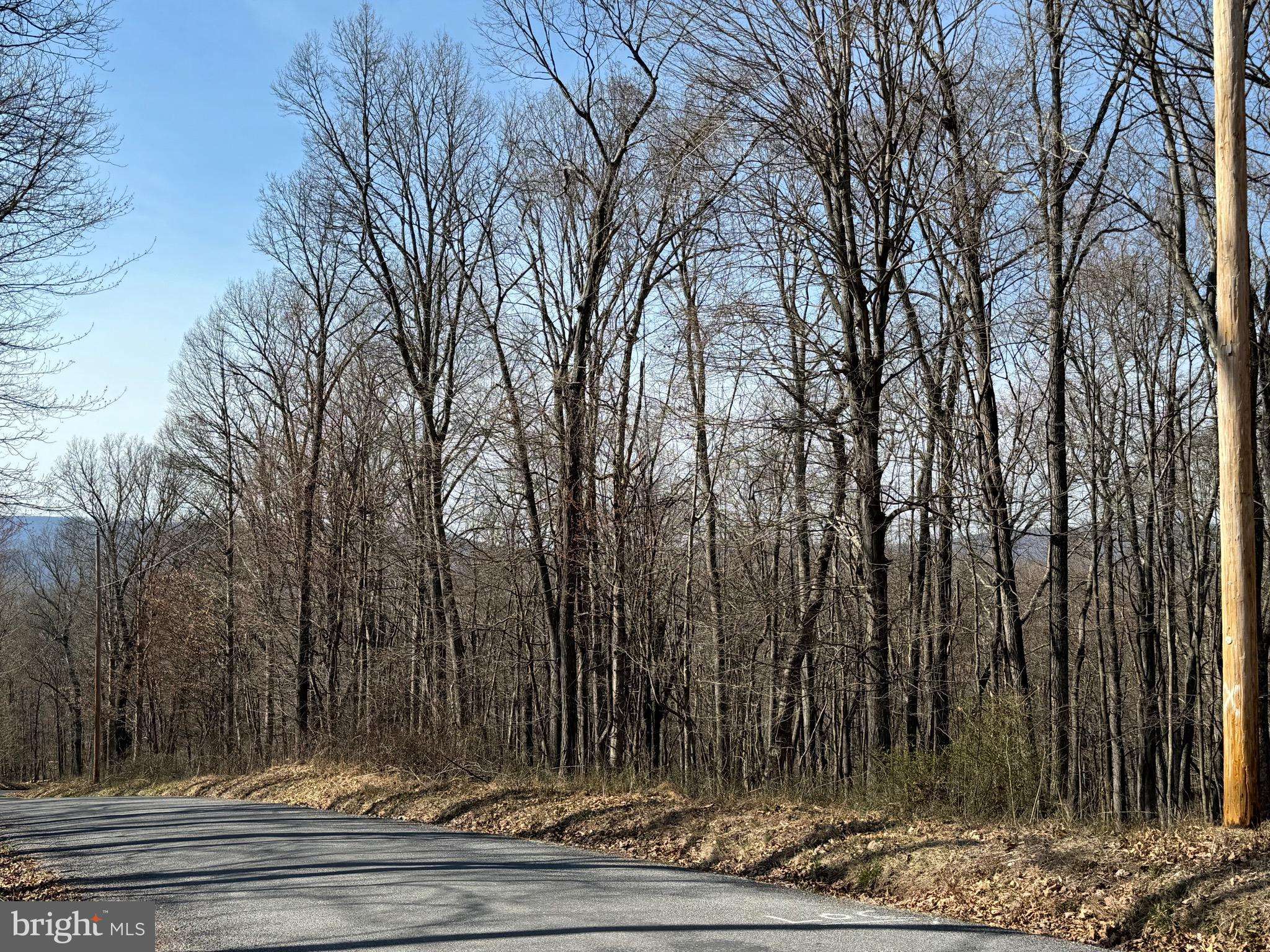 Great Cacapon, WV 25422,ORLEANS RD #LOT 2