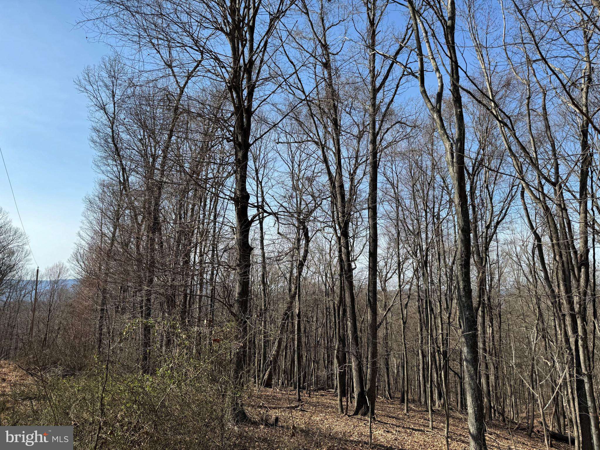 Great Cacapon, WV 25422,ORLEANS RD #LOT 2