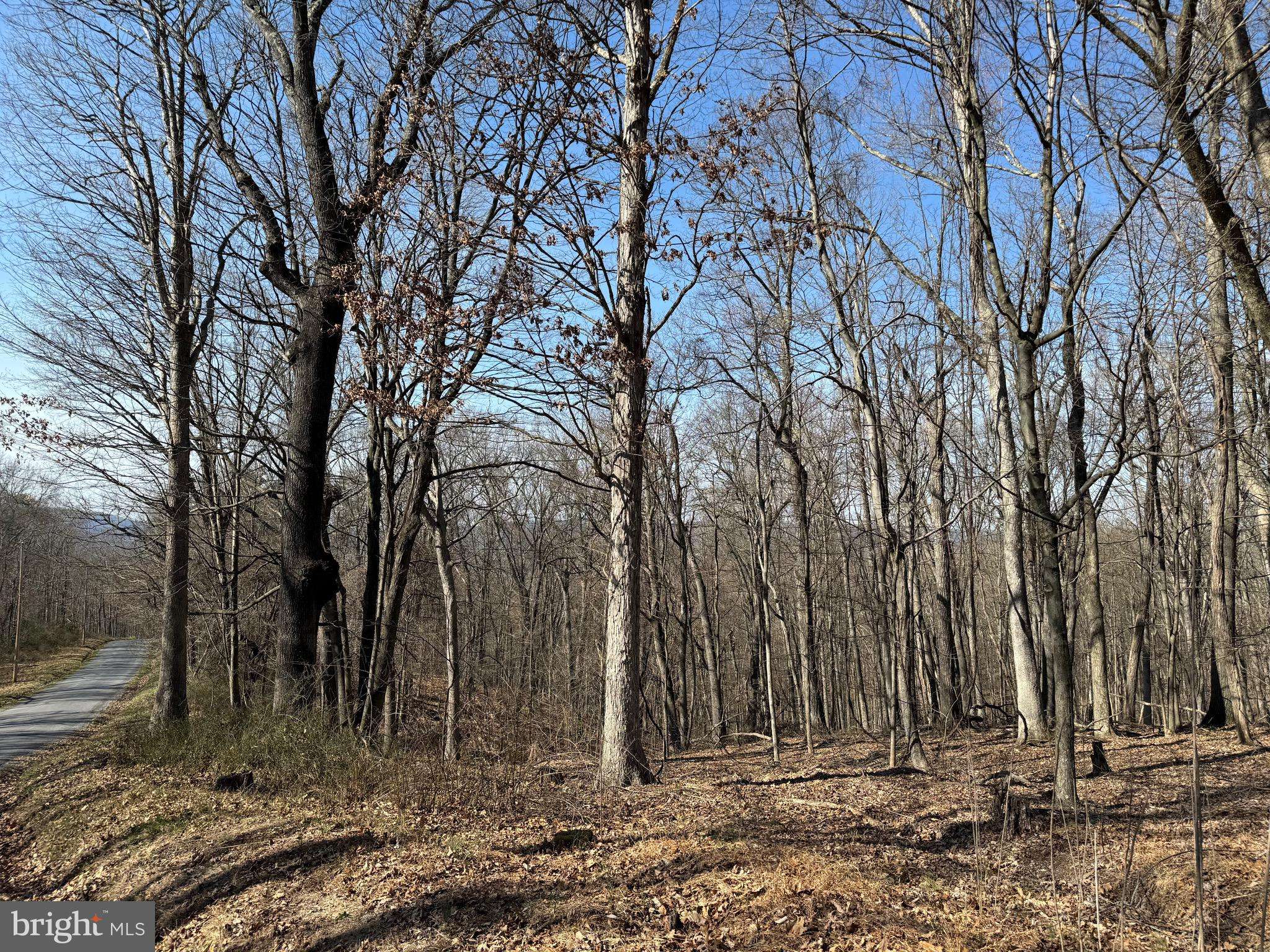 Great Cacapon, WV 25422,ORLEANS RD #LOT 2