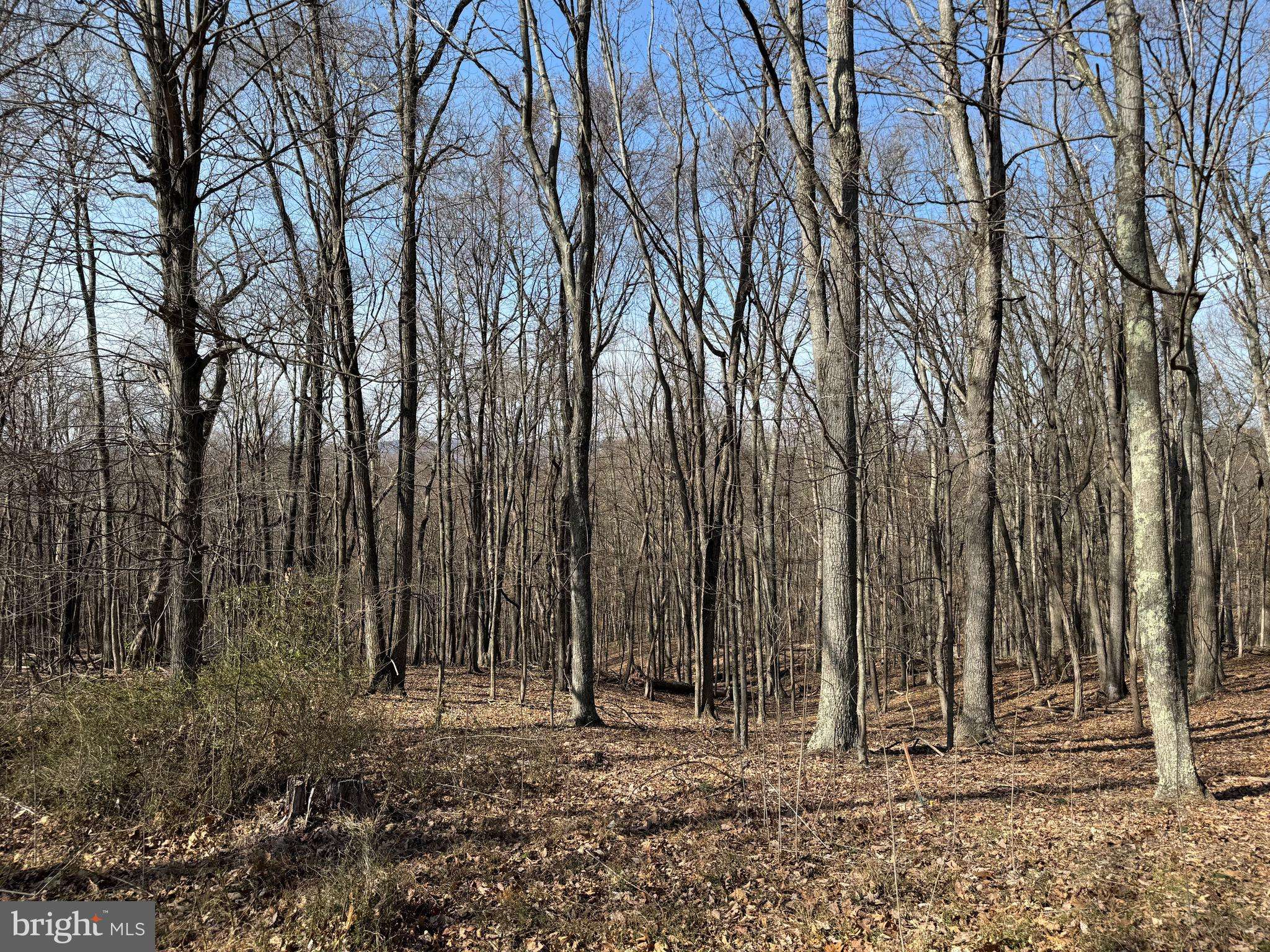 Great Cacapon, WV 25422,ORLEANS RD #LOT 2